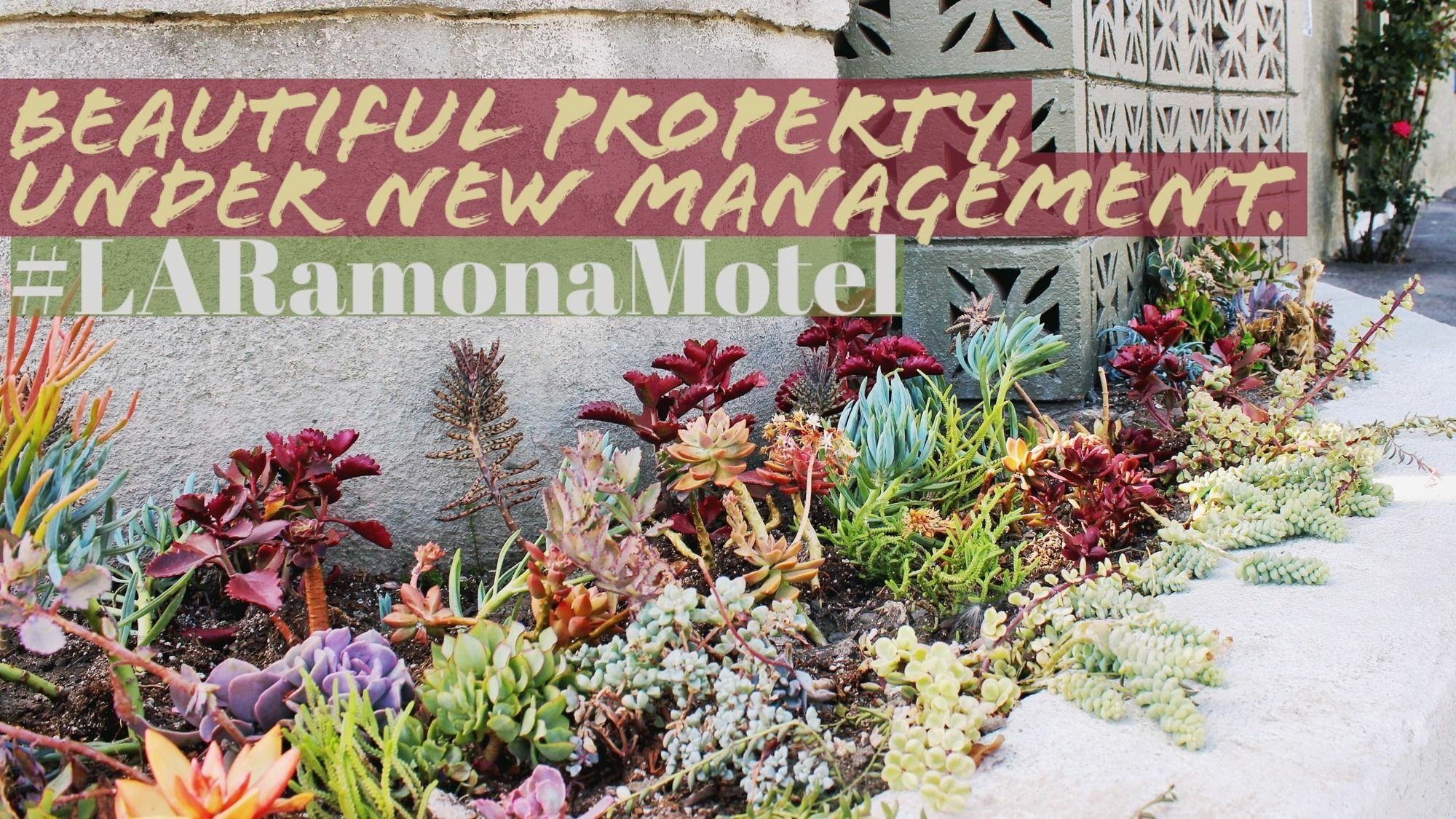 Ramona Motel Los Angeles Zewnętrze zdjęcie